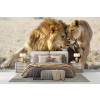 Lions In Love Wallpaper Wall Mural