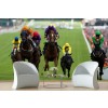 Horse Racing Wallpaper Wall Mural