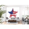 Amerikanische Flagge Star II Wandgemälde von Tenyo Marchev