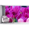 Tulips in Keukenhof Gardens Wall Mural by Terry Eggers - Danita Delimont