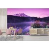 Mount Rainier Lake Reflection Wall Mural by Stuart Westmorland - Danita Delimont