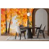 Autumn Grove Wall Mural by Christine Lindstrom