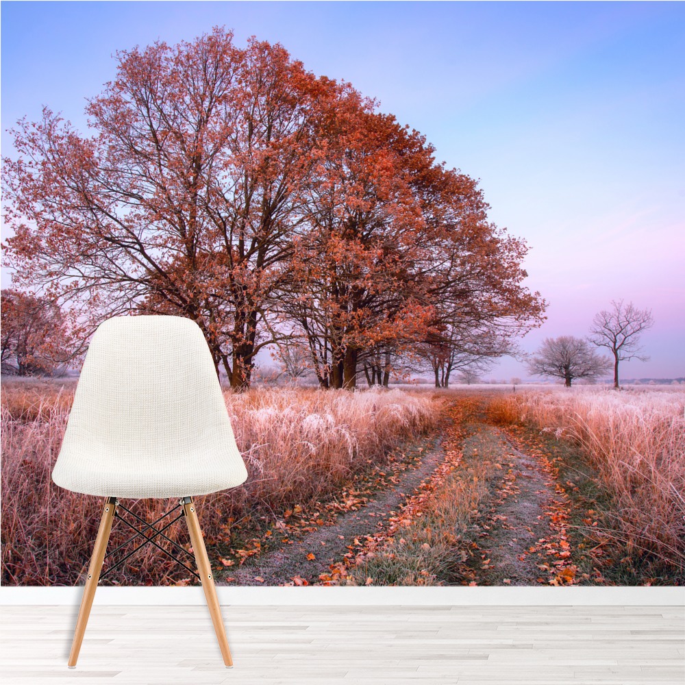 Automne lever de soleil Papier Peint Photo Arbre rouge ...