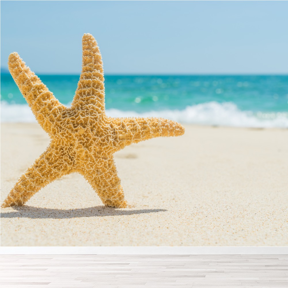 Wallpaper Plage Tropicale Papier Peint Photo Etoile De Mer Papier Peint For Free