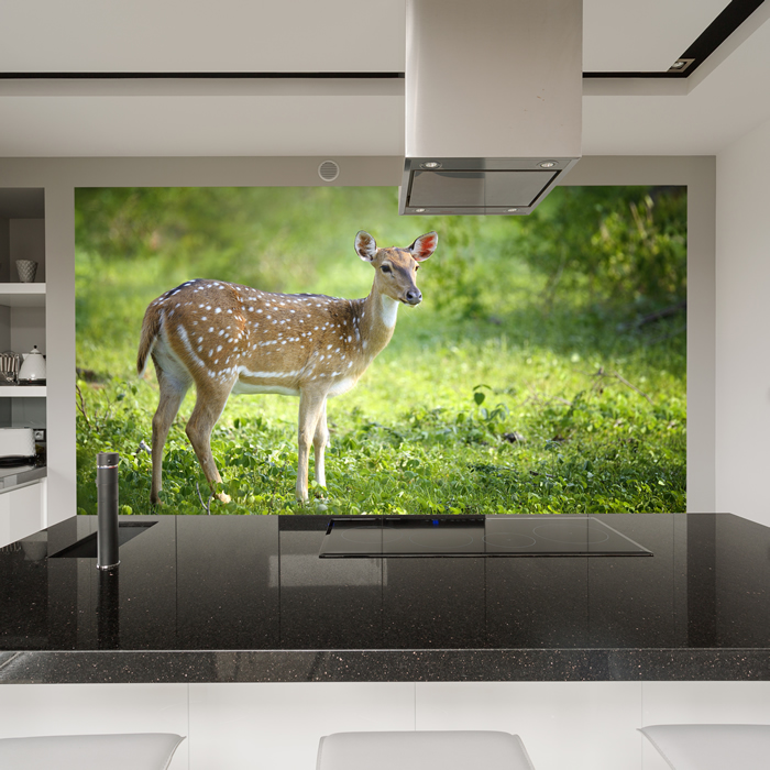 Cerf Papier Peint Photo Forêt verte Papier peint Salon de ...