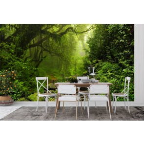 Amazon Jungle Green Trees Wallpaper Wall Mural