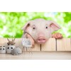 Piglet Pig Papier Peint Photo Animaux de la ferme Papier peint Salle de jeux de chambre pour enfants Décor photo