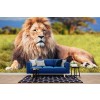 Lion Papier Peint Photo Safari Animal Papier peint Salon Chambre à coucher pour enfants Décor photo