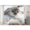 Cute Grey Seal Papier Peint Photo Neige blanche Papier peint Enfants Nursery Photo Décor à la maison