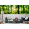 Sunlit Green Trees Papier Peint Photo Forest Woods Papier peint Salon Décor photo