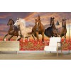 Les chevaux Papier Peint Photo Fleurs de coquelicots rouges Papier peint Chambre des filles Photo Décor à la maison