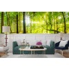 Vert Arbre Panoramique Papier Peint Photo Forest Woods Papier peint Salon Décor photo