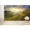 Spring Meadow Mountain Landscape Wallpaper Wall Mural