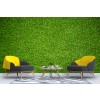 Green Grass Wallpaper Wall Mural