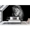 Lion Portrait Wallpaper Wall Mural