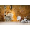 Red Fox Autumn Forest Wallpaper Wall Mural