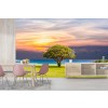 Green Tree By The Ocean Shore Wallpaper Wall Mural