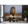 Lion du Serengeti Papier Peint Photo par Xavier Ortega