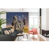 Birds & Zebra Wall Mural by Jerry Lofaro