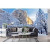 Snow-Covered El Capitan, California Wall Mural by Chuck Haney - Danita Delimont