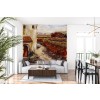 Stene Oak Barrels Wall Mural by Karen Stene