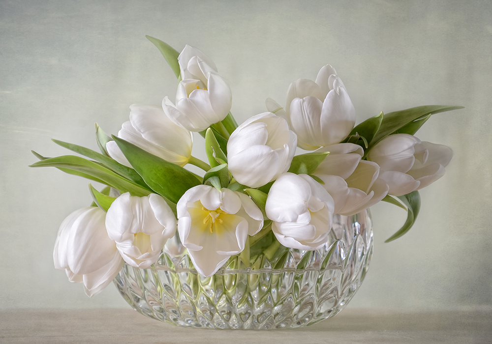 Flores blancas ii Fotomurales por Steffen Gierok