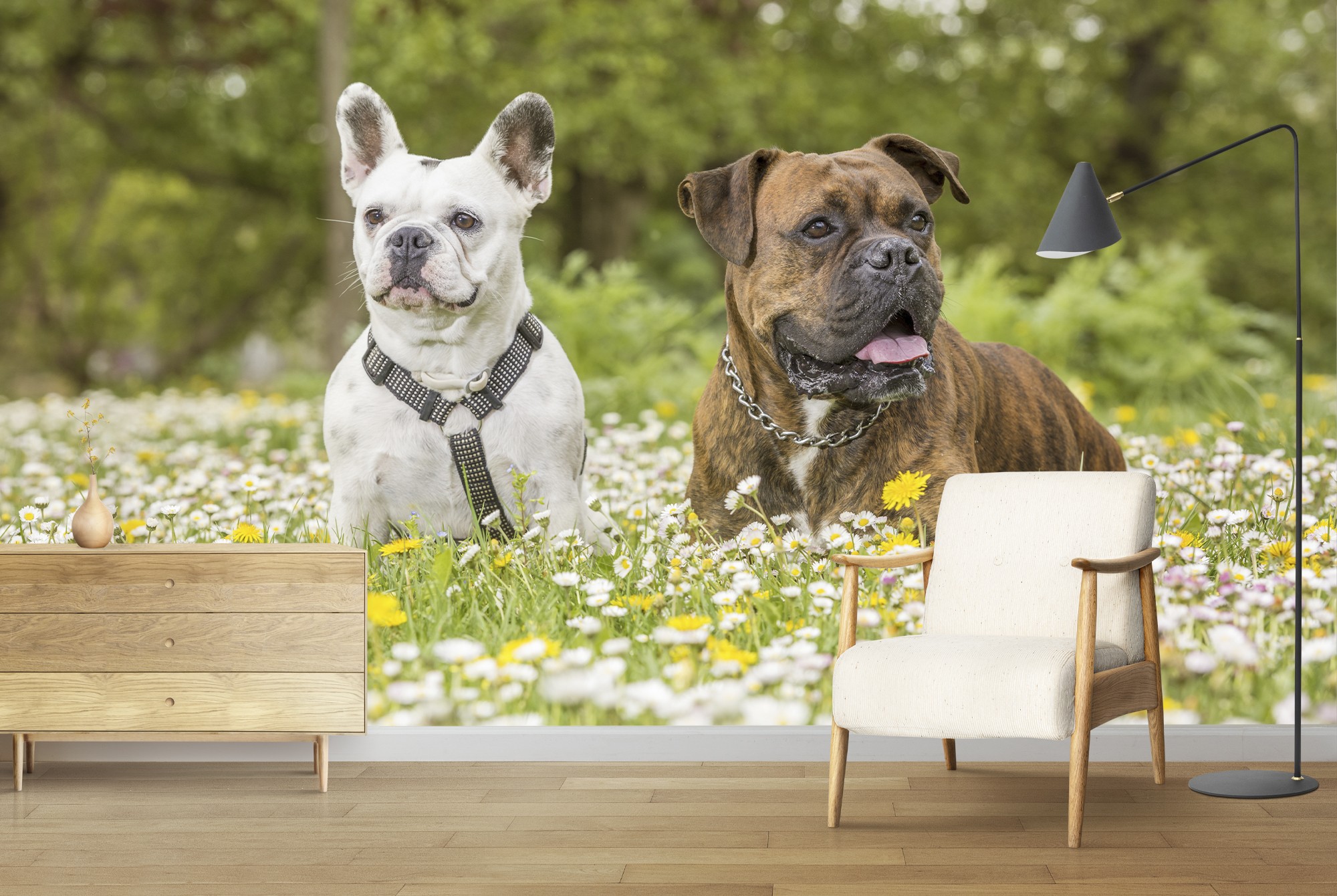 Perros Boxer y Bulldog Fotomurales Animal Papel Pintado Salón