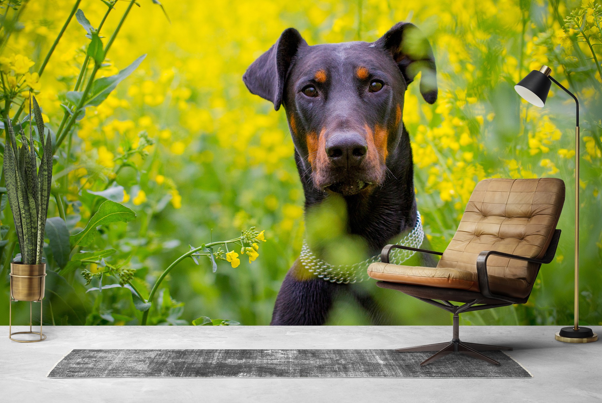 Perro Dobermann Fotomurales Flor Papel Pintado Dormitorio sala de estar