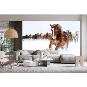 Galloping Horse Winter Snow Wallpaper Wall Mural