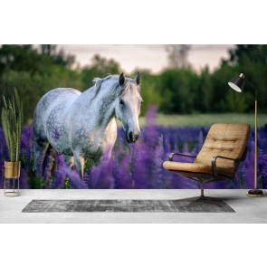 White Horse Purple Flower Field Wallpaper Wall Mural