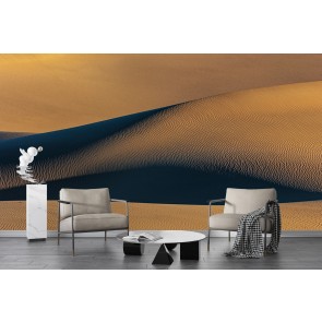 Dunes in Death Valley Wall Mural by Chuck Haney - Danita Delimont