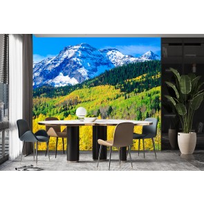 Rocky Mountains, Colorado Wall Mural by Jaynes Gallery - Danita Delimont