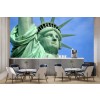 Estatua de la Libertad Fotomurales América Estados Unidos Papel Pintado Viajar Foto Decoración para el hogar