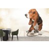Basset Hound Dog Fotomurales Animales divertidos Papel Pintado Sala de estar Decoración de fotos