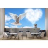 Pájaro blanco de la paloma Fotomurales Cielo azul Papel Pintado Dormitorio de las niñas Foto Decoración para el hogar