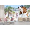 Perro beagle Fotomurales Animales divertidos Papel Pintado Dormitorio de los niños Foto Decoración para el hogar
