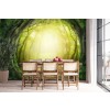 Bosque Mágico Fotomurales Naturaleza de la fantasía Papel Pintado Dormitorio de los niños Foto Decoración para el hogar