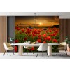 Flor roja de la amapola Fotomurales Puesta de sol Papel Pintado Salón dormitorio Decoración de fotos