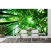 Bosque verde Fotomurales Árboles de la naturaleza Papel Pintado Salón dormitorio Decoración de fotos