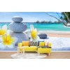 Flores y guijarros Fotomurales Playa tropical Papel Pintado Spa Foto Decoración para el hogar