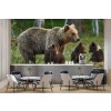 Familia del oso pardo Fotomurales Animales del bosque Papel Pintado Naturaleza Foto Decoración para el hogar