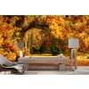 Autumn Forest Wallpaper Wall Mural