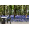 Bluebell Forest Wallpaper Wall Mural