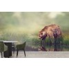 Brown Bear & Woodland Lake Wallpaper Wall Mural