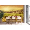 Vineyard Landscape Sunset Wallpaper Wall Mural