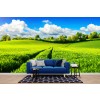 Spring Meadow Panoramic Cityscape Wallpaper Wall Mural