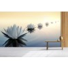 Lotus Flower Tranquil Water Wallpaper Wall Mural