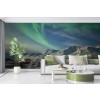 Aurora Borealis on Klondike Valley Wall Mural by Design Pics - Danita Delimont