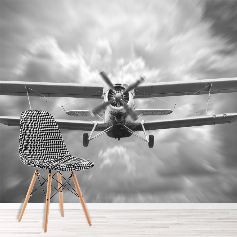 Biplane Aircraft Vintage Plane Wallpaper Wall Mural