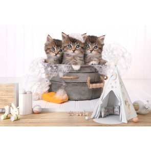 Cute Kittens Cat Wallpaper Wall Mural